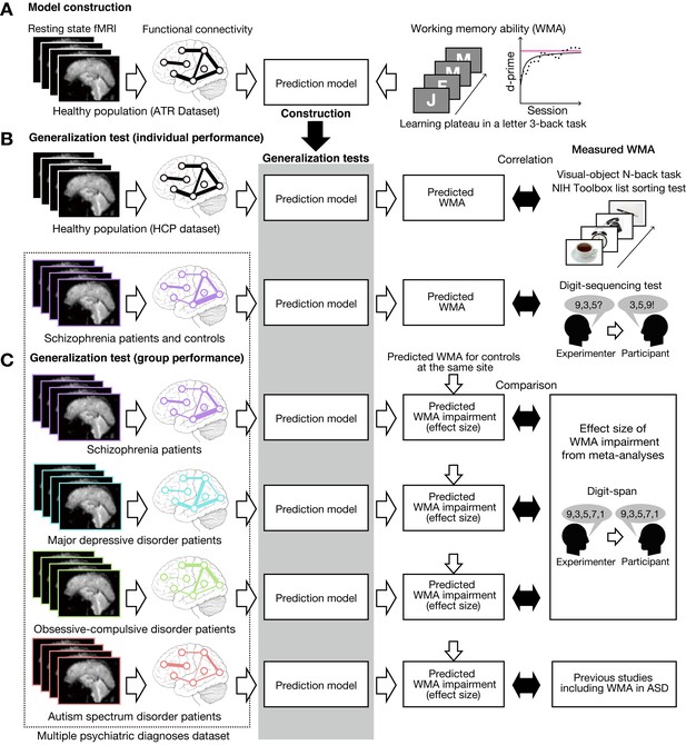 A Prediction Model Of Working Memory Across Health And Psychiatric ...