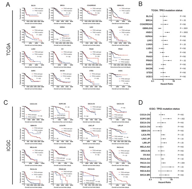 Figures And Data In Systematic Identification Of Mutations And Copy ...