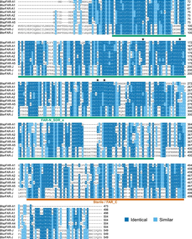 Figures and data in Expansion of the fatty acyl reductase gene family ...