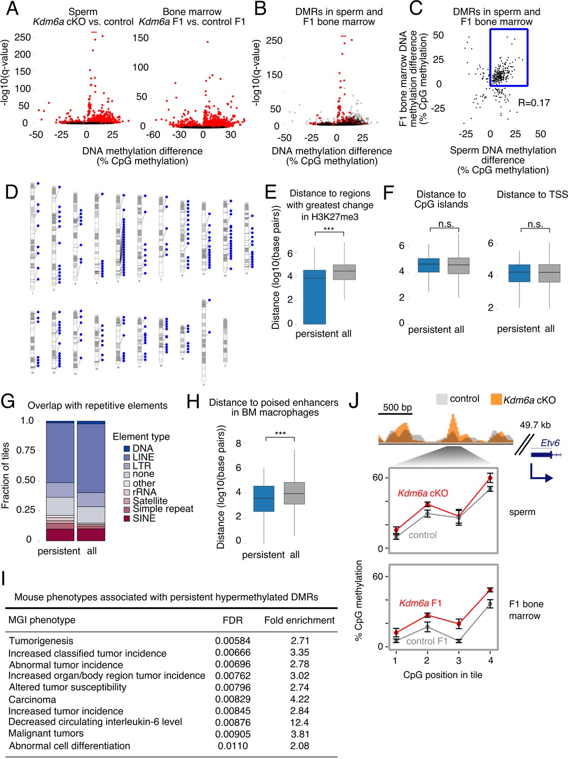 Figures and data in Intergenerational epigenetic inheritance of cancer ...