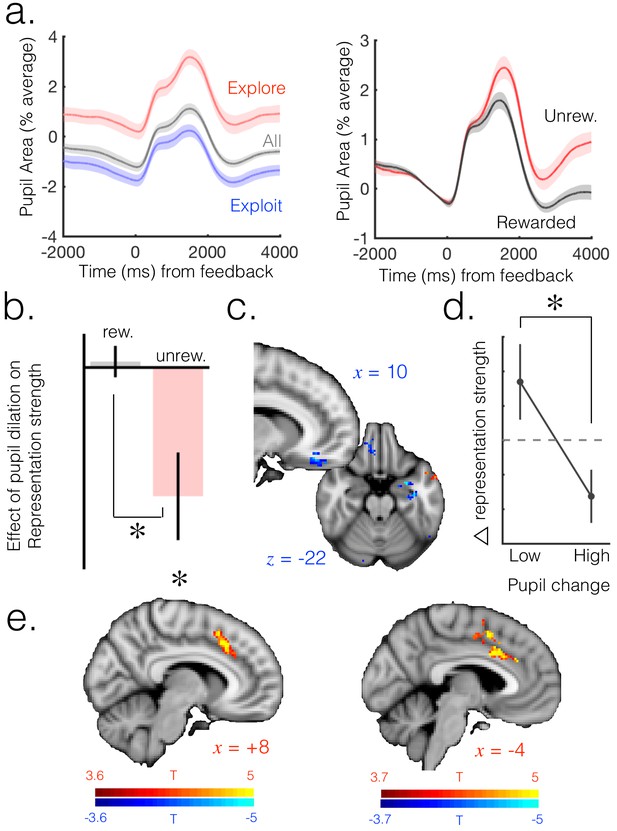 Control of entropy in neural models of environmental state | eLife