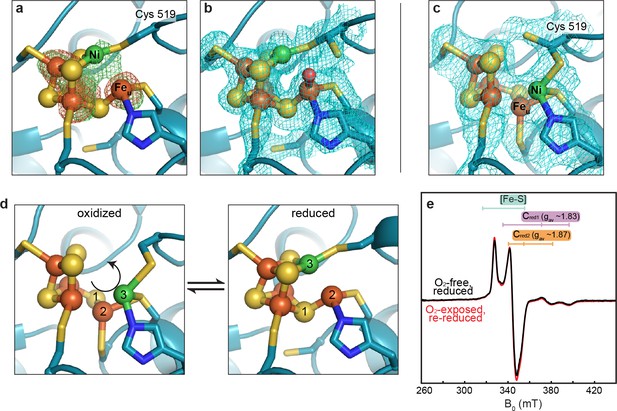 Redox-dependent Rearrangements Of The NiFeS Cluster Of Carbon Monoxide ...