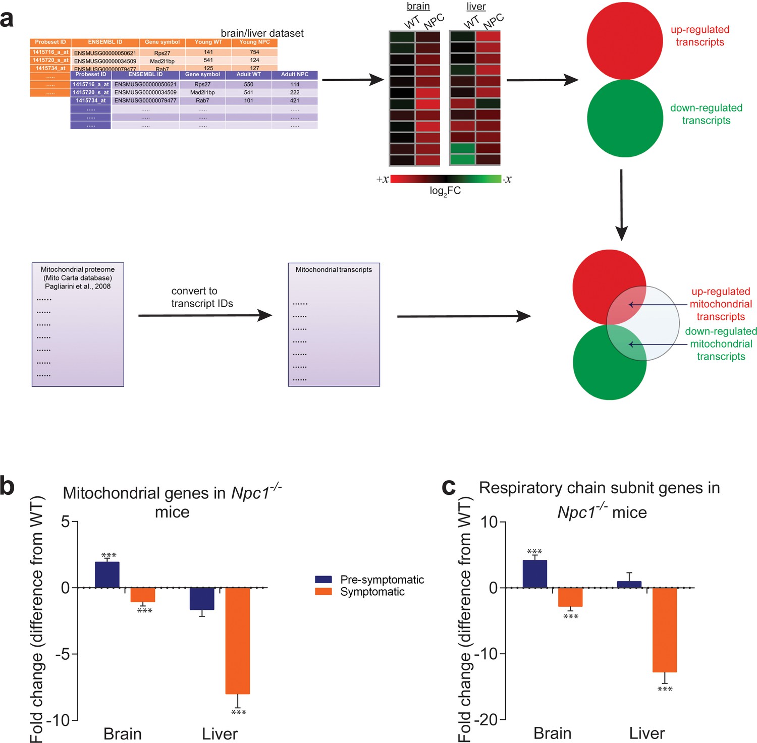 Figures And Data In Mitochondrial Biogenesis Is Transcriptionally Repressed In Lysosomal Lipid 3526