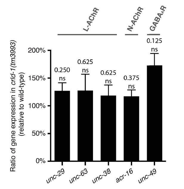 Figures and data in CRELD1 is an evolutionarily-conserved maturational ...