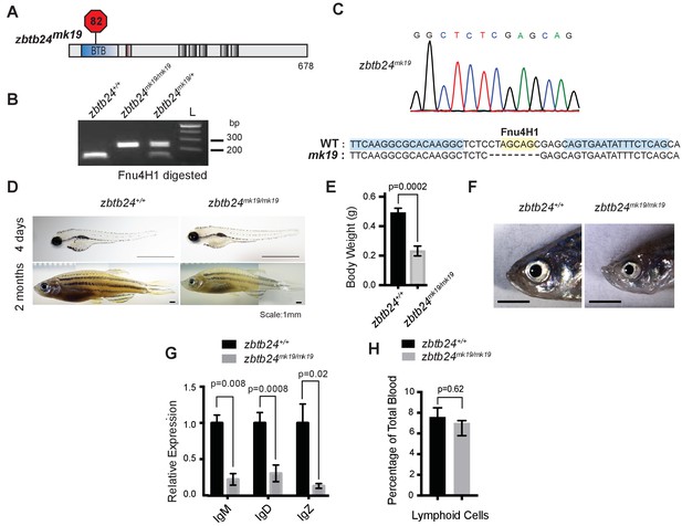 Figures and data in Pericentromeric hypomethylation elicits an ...