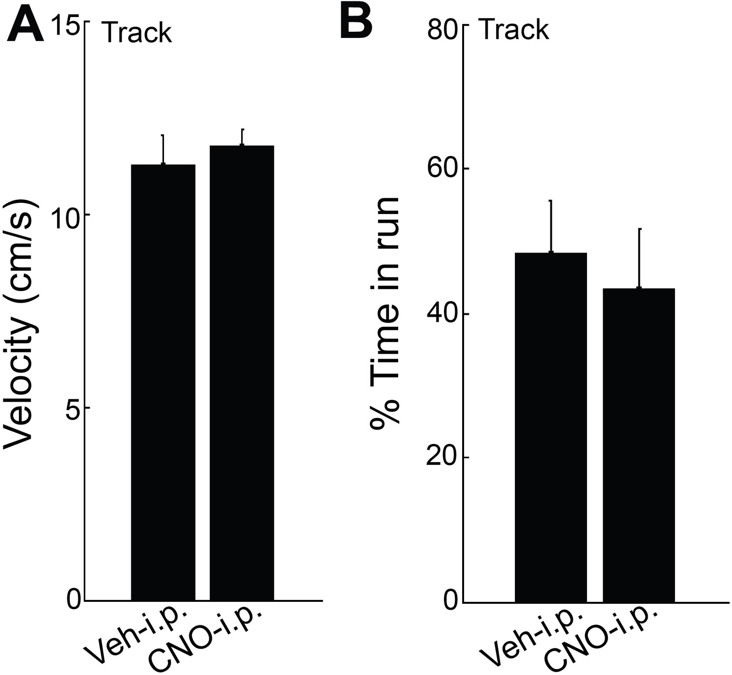 Figures and data in Cholinergic modulation of hippocampal calcium ...