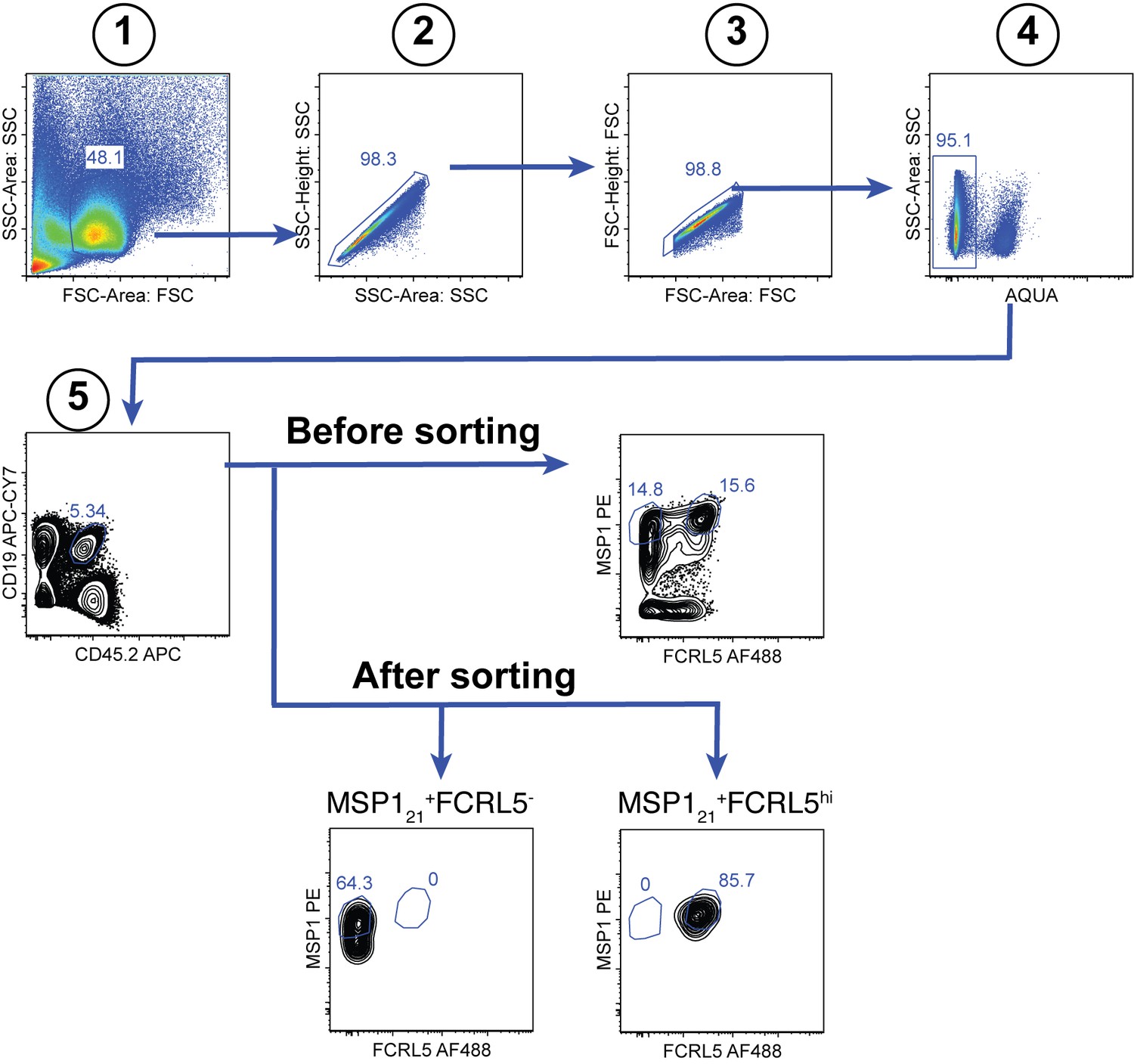 Figures And Data In Plasmodium-specific Atypical Memory B Cells Are ...