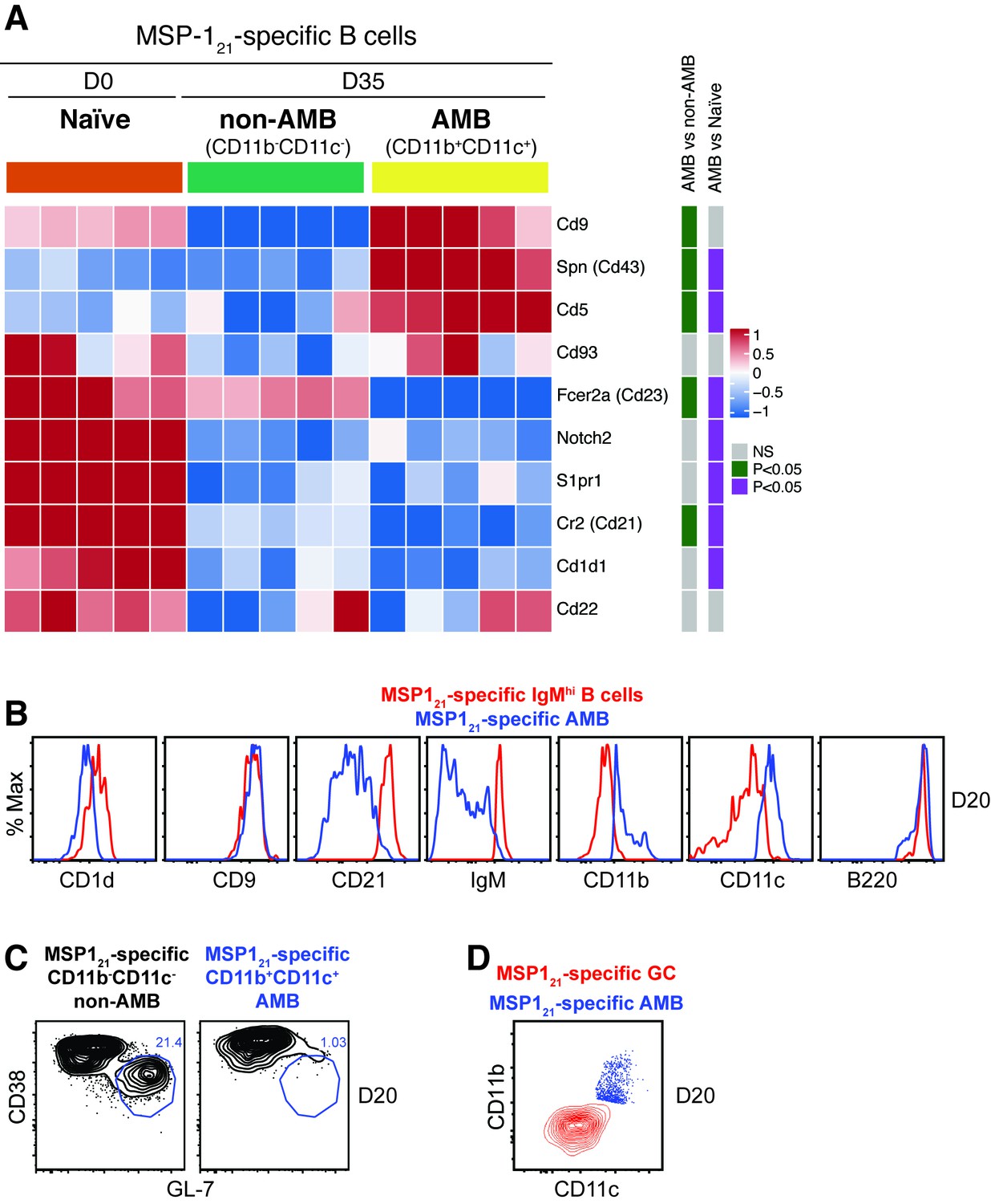 Figures And Data In Plasmodium-specific Atypical Memory B Cells Are ...