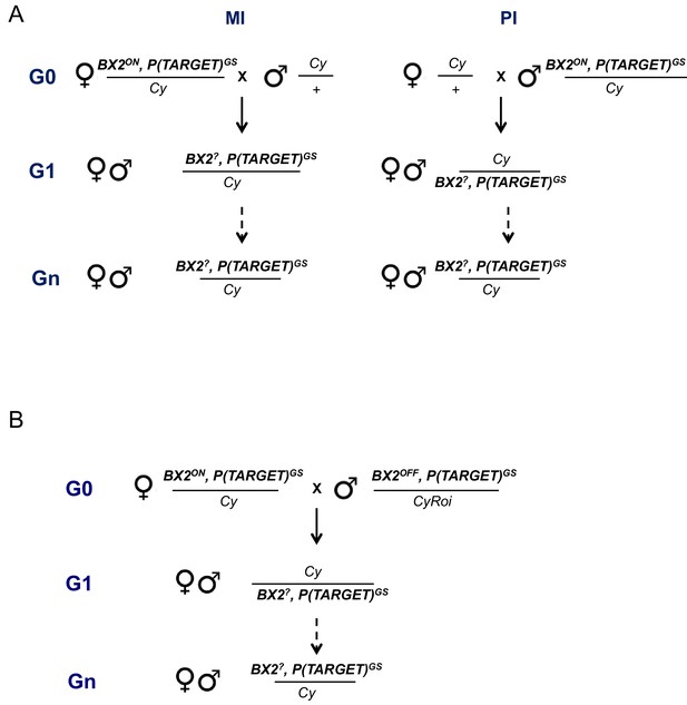 Figures and data in Environmentally-induced epigenetic conversion of a ...