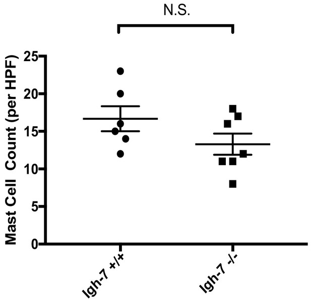 Figures and data in IgE-mediated mast cell activation promotes ...