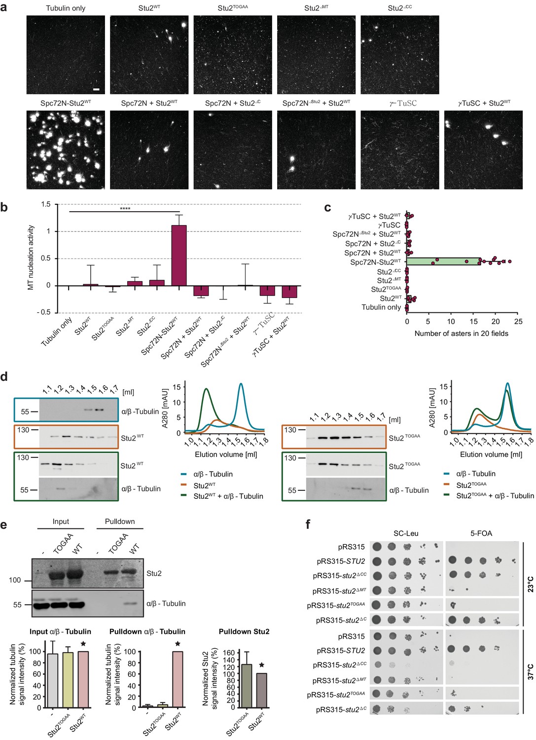 Figures And Data In The Microtubule Polymerase Stu2 Promotes ...