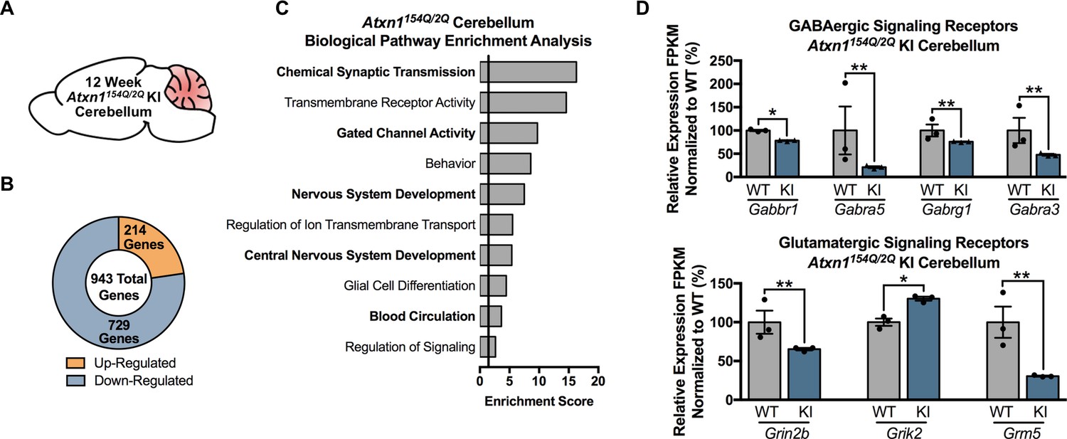 32719 PDFs  Review articles in ATAXIA