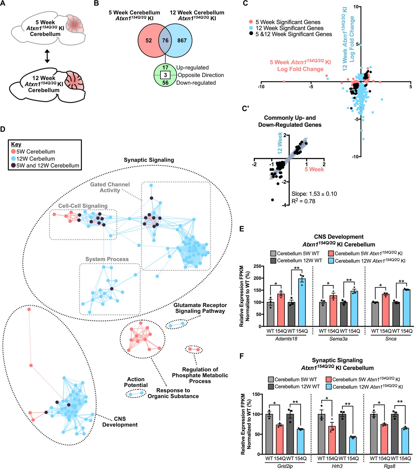 Figures And Data In Molecular Pathway Analysis Towards Understanding