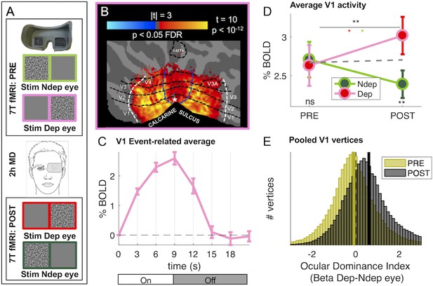 Figures and data in Response to short-term deprivation of the human ...
