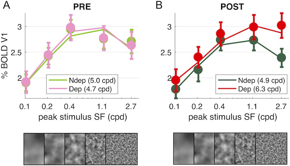Figures and data in Response to short-term deprivation of the human ...