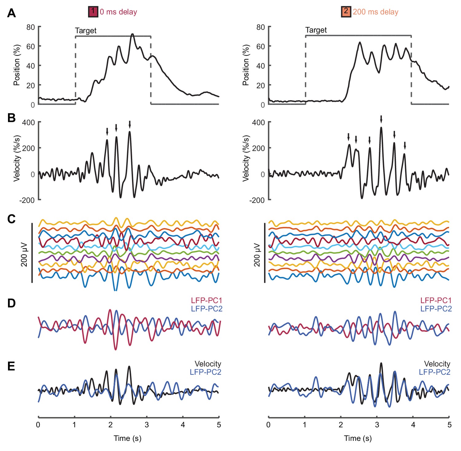 Extrinsic And Intrinsic Dynamics In Movement Intermittency | ELife