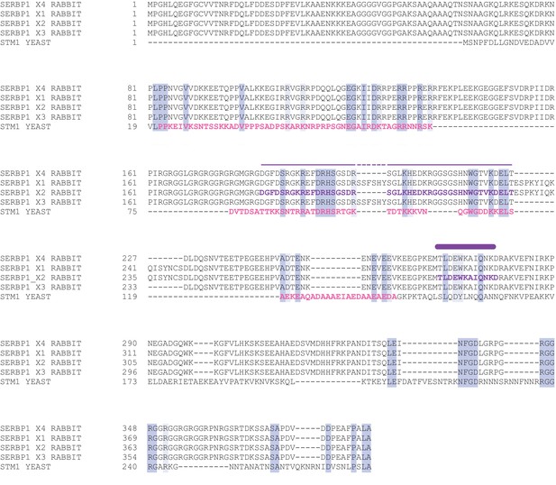 Figures and data in Structures of translationally inactive mammalian ...