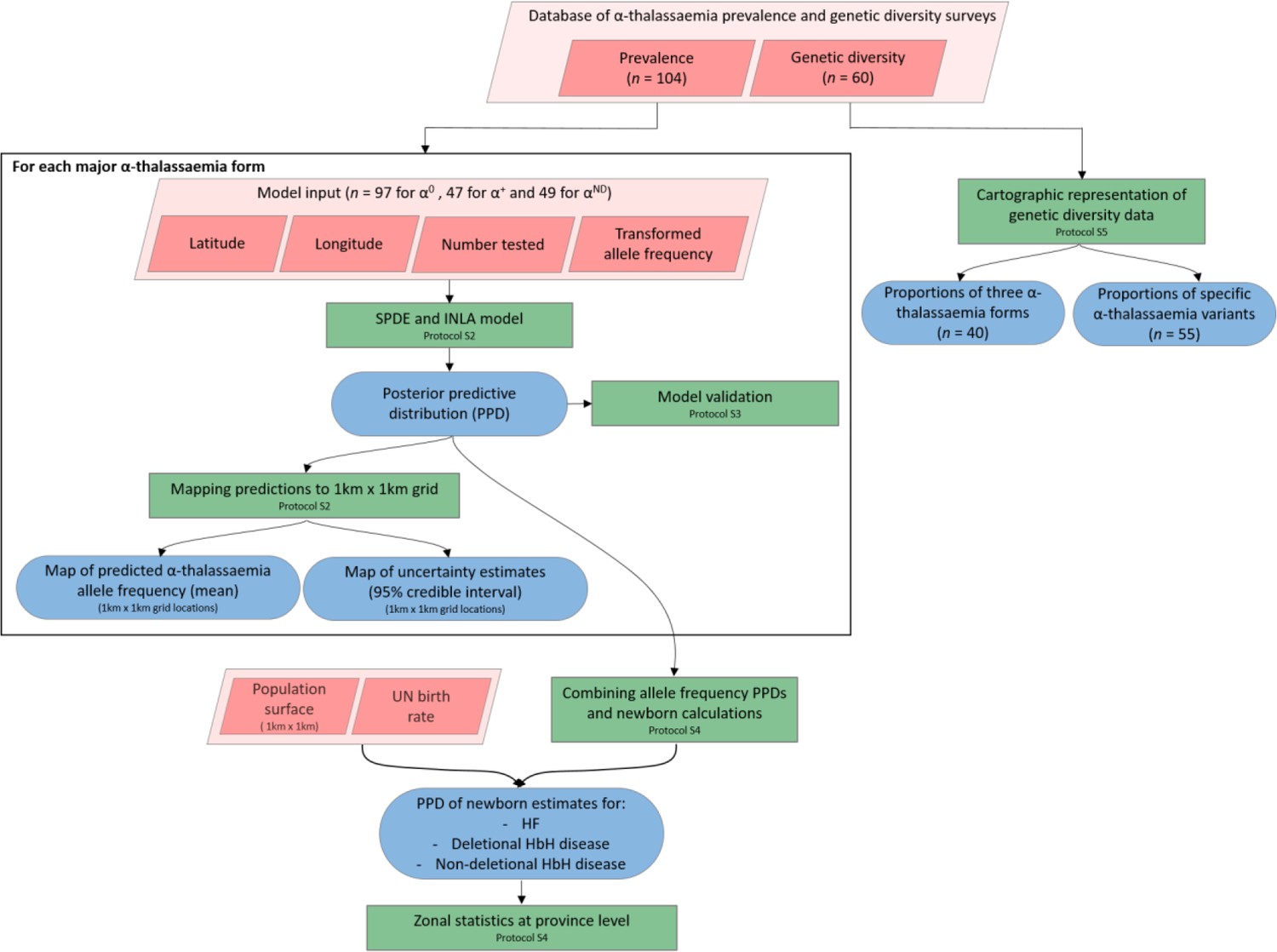 Estimating the burden of α-thalassaemia in Thailand using a ...