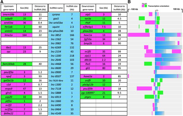 Figures and data in Individual long non-coding RNAs have no overt ...