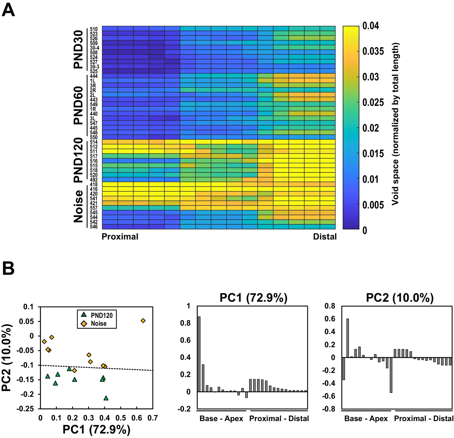 Figures And Data In Cellular Cartography Of The Organ Of Corti Based On ...