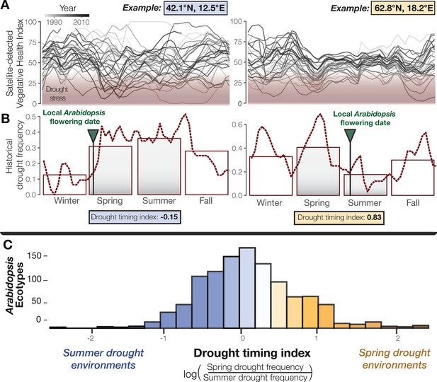 Figures And Data In Drought Adaptation In Arabidopsis Thaliana By ...