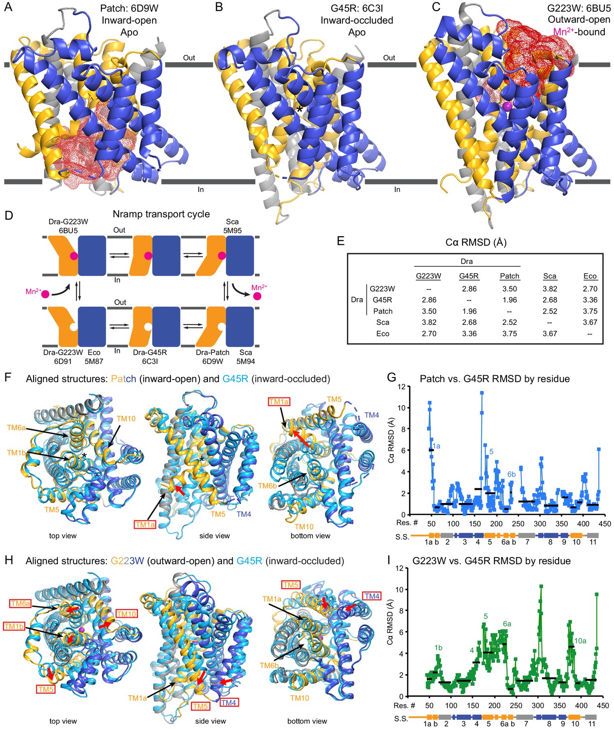 Figures and data in Structures in multiple conformations reveal ...