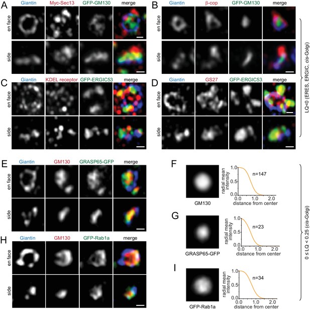 Figures and data in The spatial separation of processing and transport ...