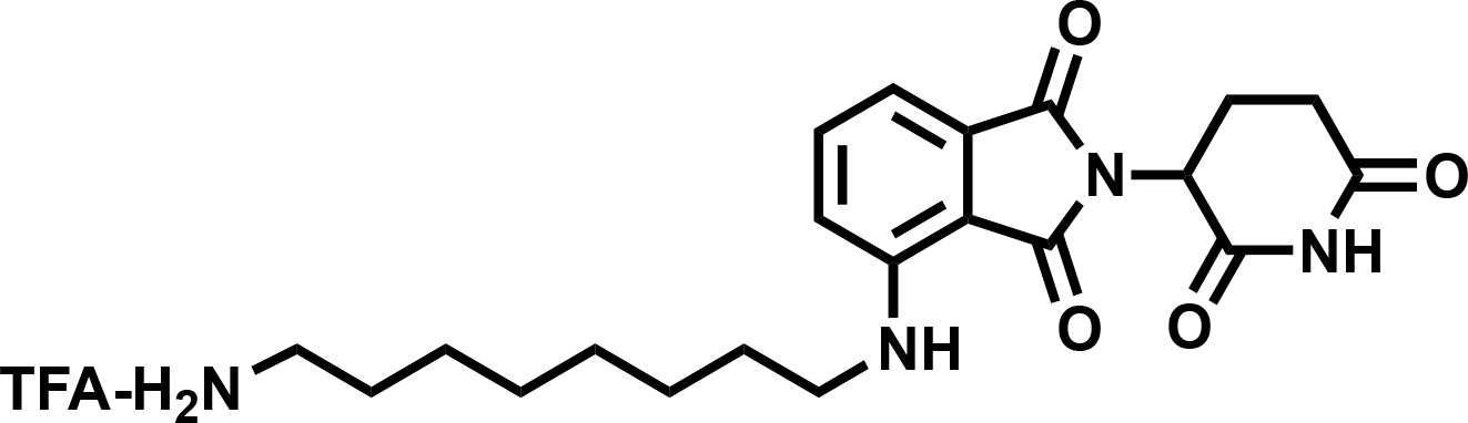 送料無料 通販 激安 Targeted degradation gene oncogenic reverses BRD9 of 現代音楽
