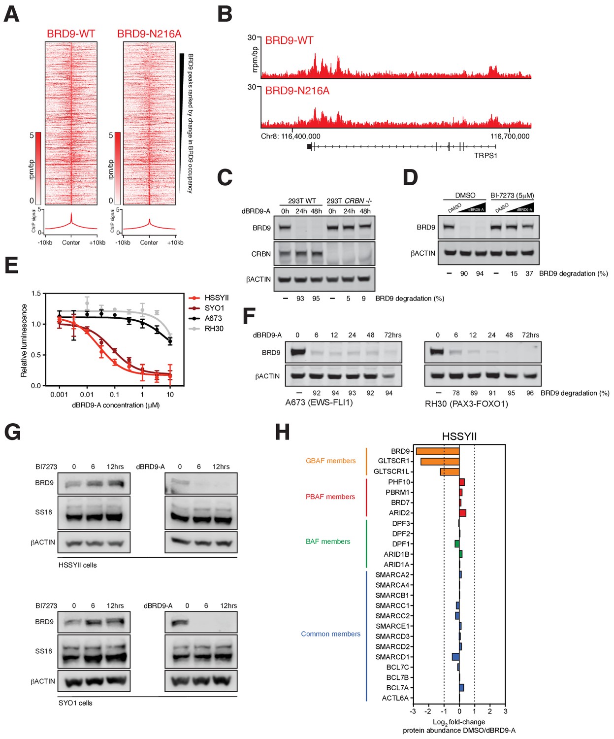 Figures and data in Targeted degradation of BRD9 reverses oncogenic ...