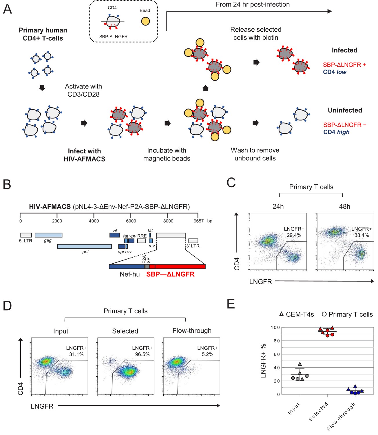 Figures and data in Functional proteomic atlas of HIV infection in ...