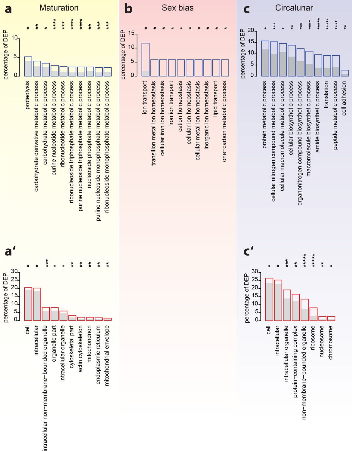 Figures And Data In Combined Transcriptome And Proteome Profiling