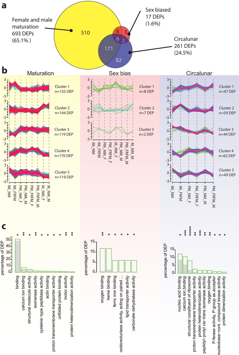 Combined Transcriptome And Proteome Profiling Reveals Specific