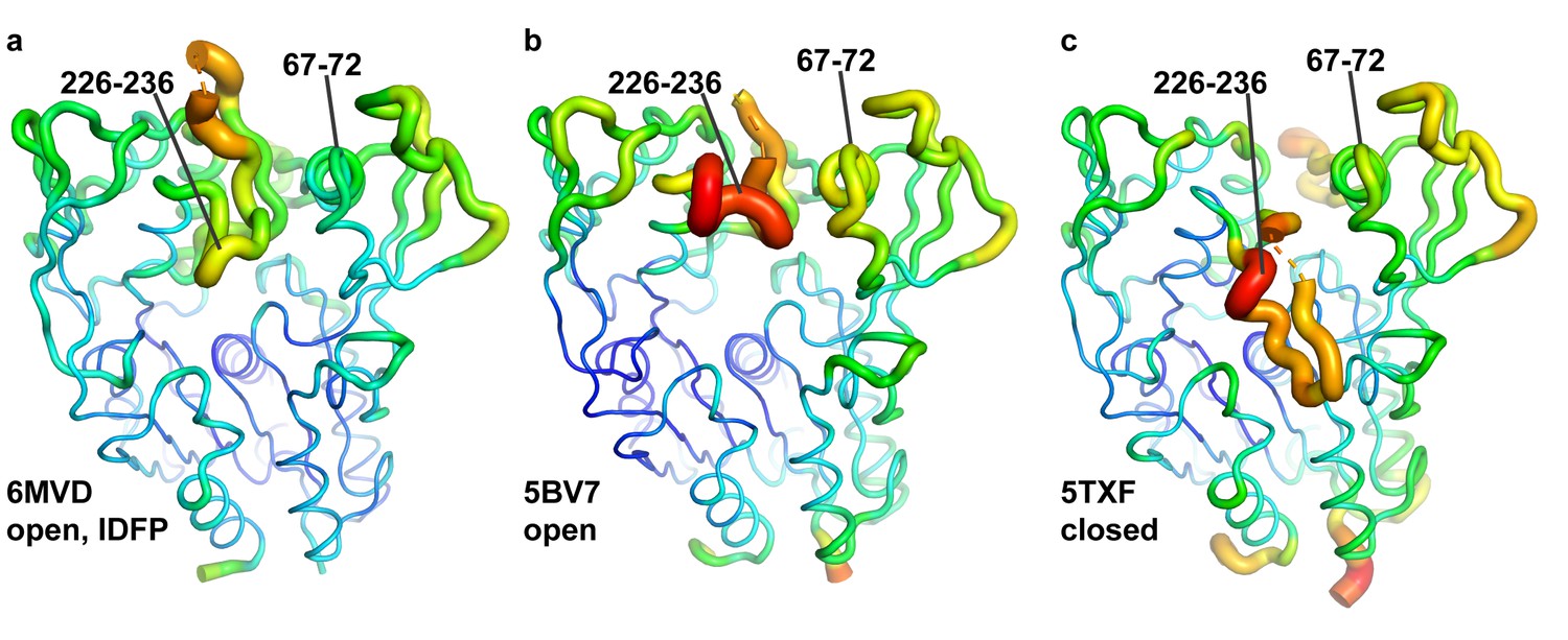 Figures And Data In Molecular Basis For Activation Of Lecithin ...