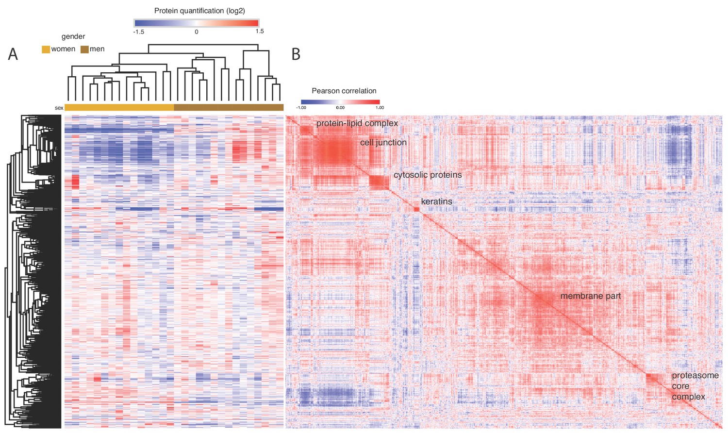 Figures And Data In In Depth Human Plasma Proteome Analysis Captures