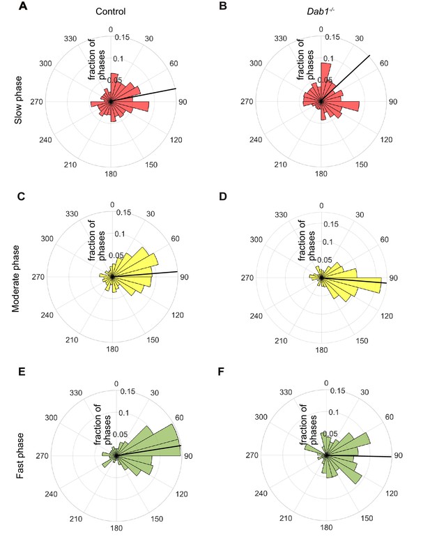 Figures and data in Correct setup of the substantia nigra requires ...