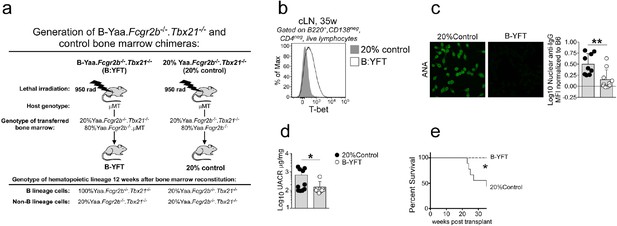 Figures And Data In IFNγ Induces Epigenetic Programming Of Human T ...