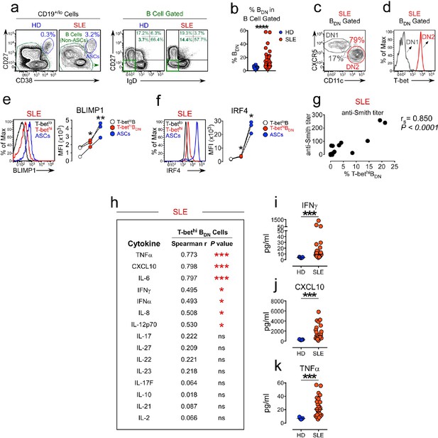 Figures And Data In IFNγ Induces Epigenetic Programming Of Human T ...