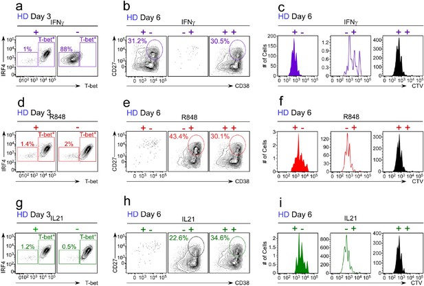 Figures And Data In IFNγ Induces Epigenetic Programming Of Human T ...