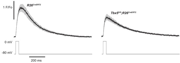 Figures and data in A calcium transport mechanism for atrial ...