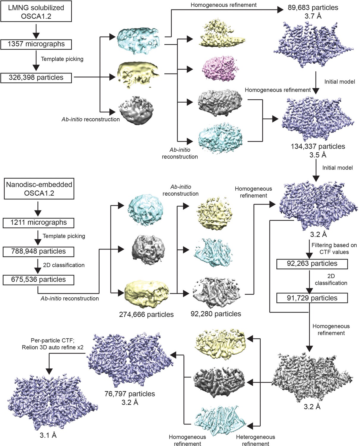 Figures And Data In Cryo-EM Structure Of The Mechanically Activated Ion ...