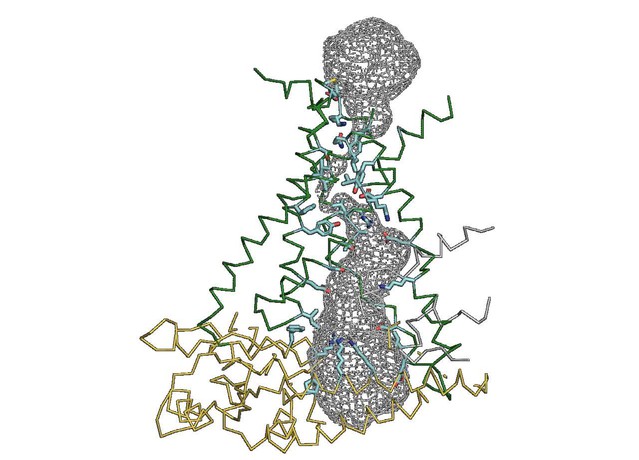 Figures And Data In Cryo-EM Structure Of The Mechanically Activated Ion ...