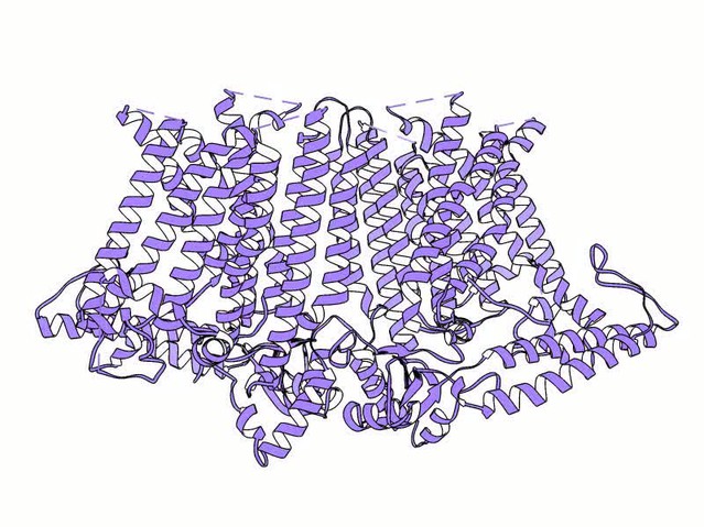 Cryo-EM Structure Of The Mechanically Activated Ion Channel OSCA1.2 | ELife