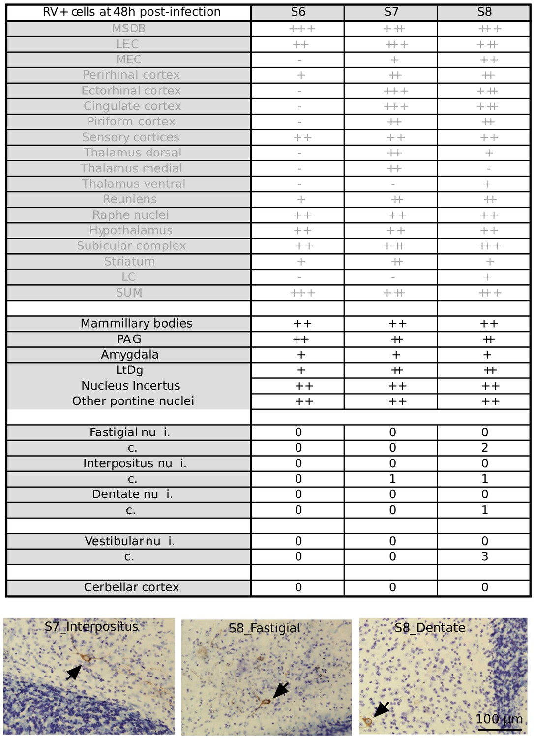 Figures And Data In Anatomical And Physiological Foundations Of ...