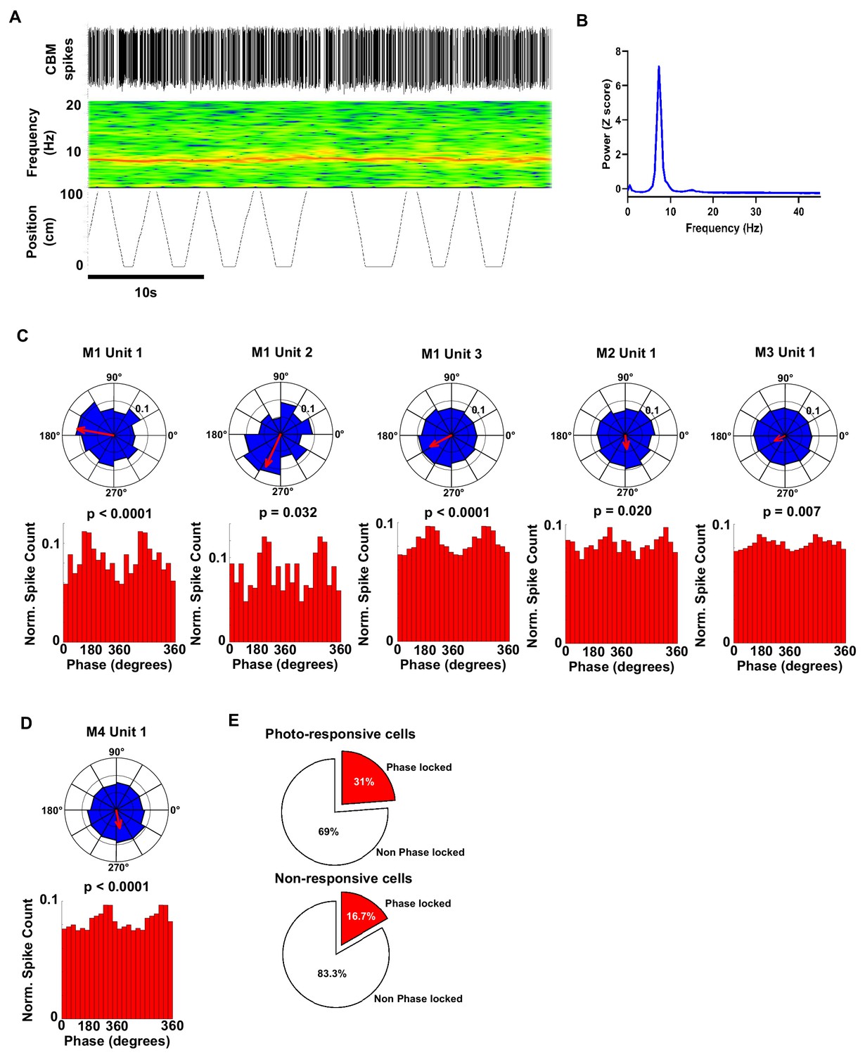 Figures And Data In Anatomical And Physiological Foundations Of ...