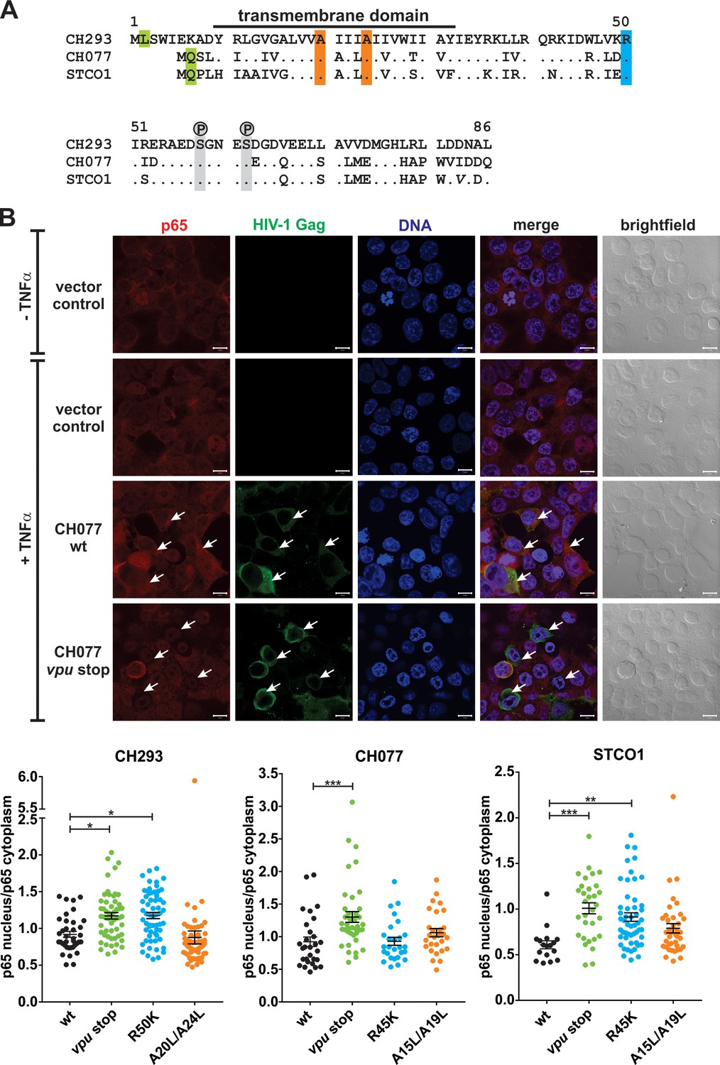 Figures And Data In Hiv Vpu Is A Potent Transcriptional Suppressor Of