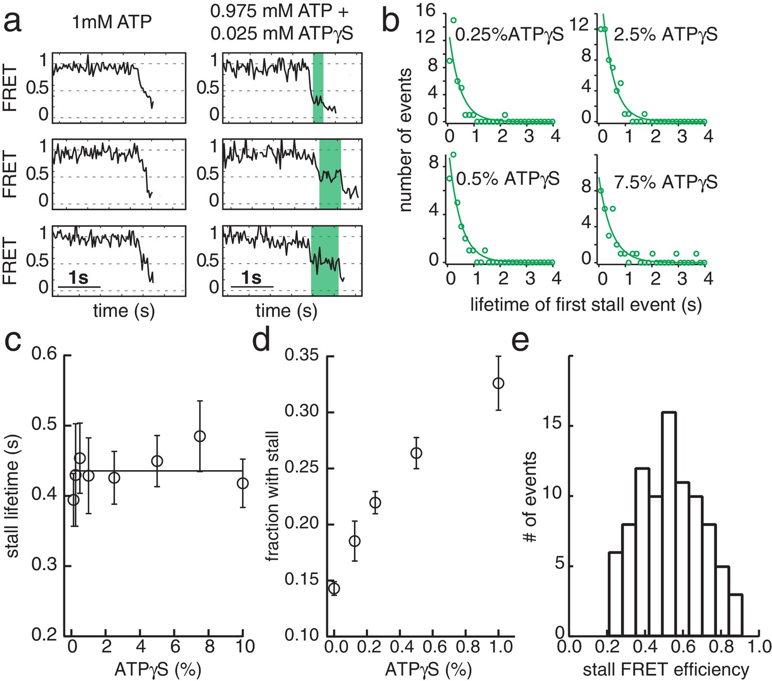 Figures and data in Hexameric helicase G40P unwinds DNA in single base ...