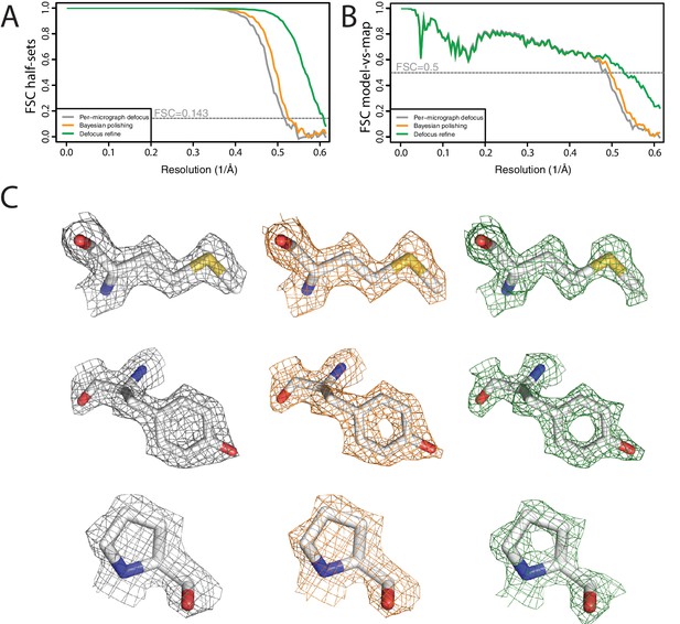 New Tools For Automated High-resolution Cryo-EM Structure Determination ...