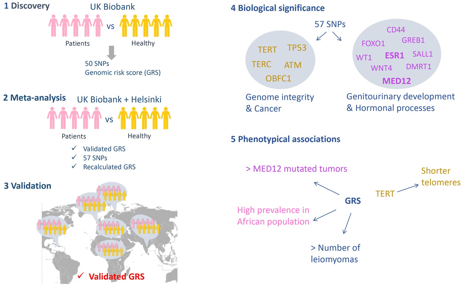 Genome-wide Association Study: Not So Benign | ELife