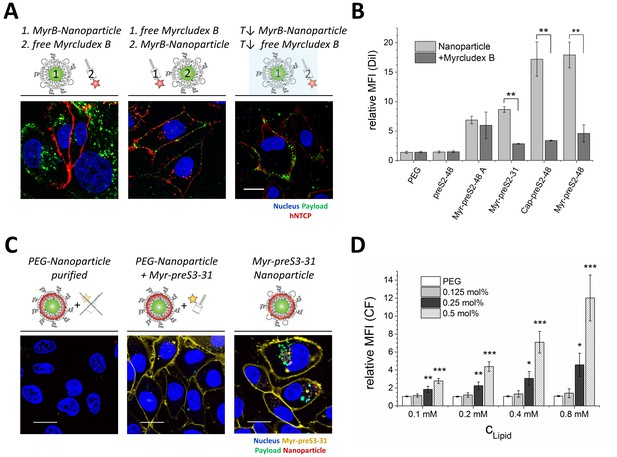 Optimization-by-design of hepatotropic lipid nanoparticles targeting ...