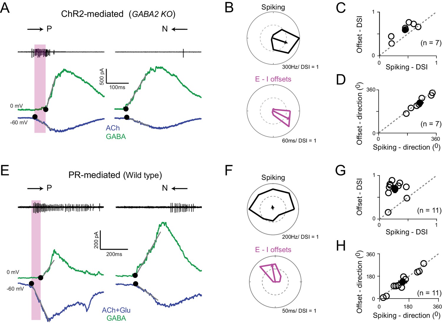 Figures and data in Retinal direction selectivity in the absence of ...